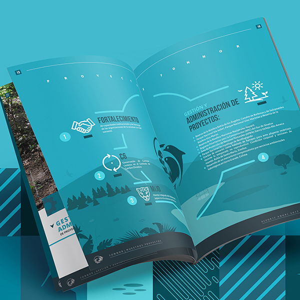 ensenada diseño gráfico graphic design ernesto monzón informe anual 2017