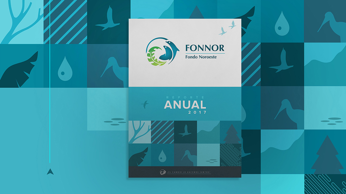 informe anual fonnor fondo noroeste diseño ernesto monzón